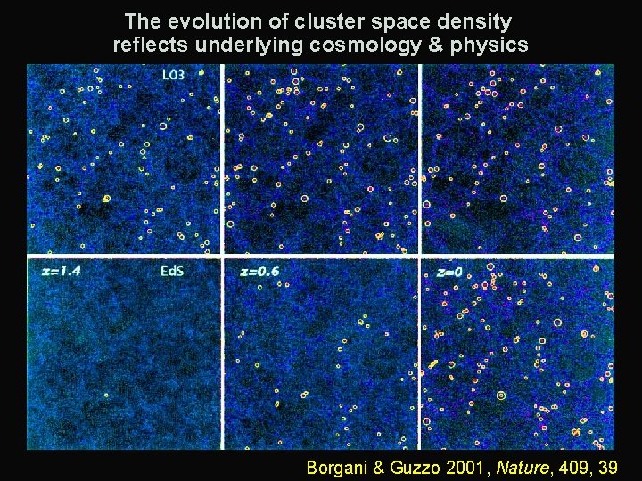 The evolution of cluster space density reflects underlying cosmology & physics Borgani & Guzzo