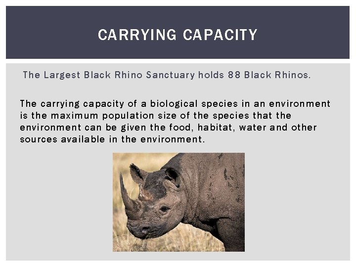 CARRYING CAPACITY The Largest Black Rhino Sanctuary holds 88 Black Rhinos. The carrying capacity