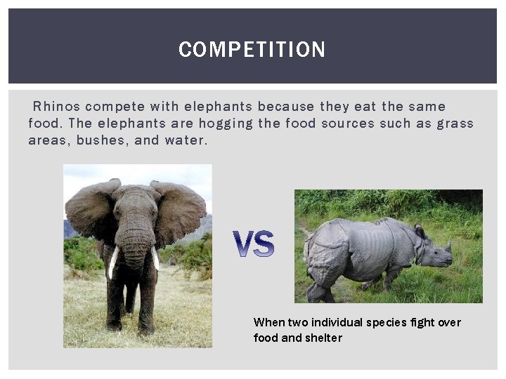 COMPETITION Rhinos compete with elephants because they eat the same food. The elephants are