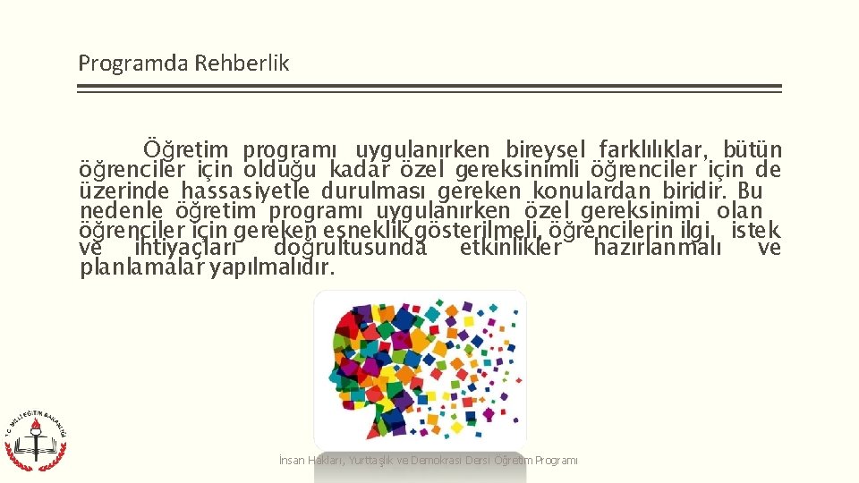 Programda Rehberlik Öğretim programı uygulanırken bireysel farklılıklar, bütün öğrenciler için olduğu kadar özel gereksinimli