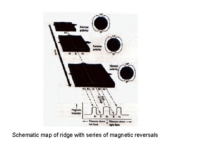 Schematic map of ridge with series of magnetic reversals Schematic map of ridge with series of magnetic reversals