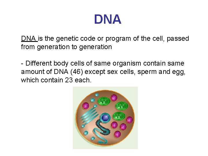 DNA is the genetic code or program of the cell, passed from generation to