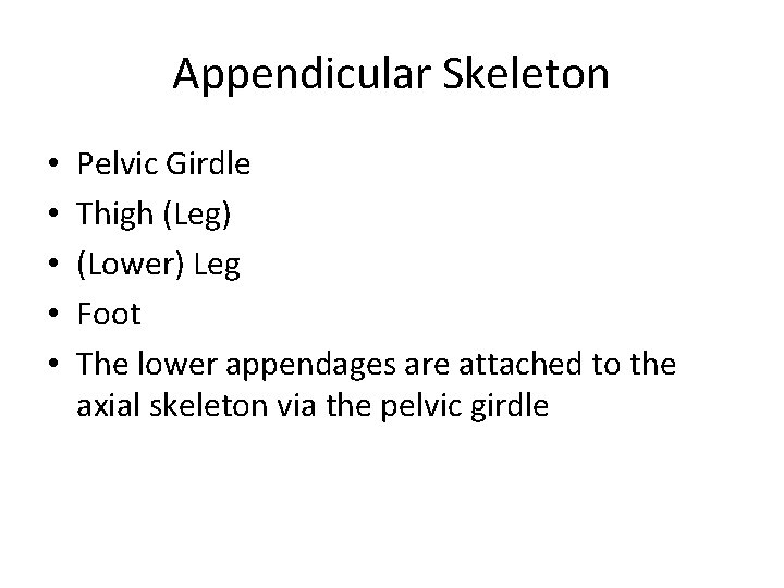 Appendicular Skeleton • • • Pelvic Girdle Thigh (Leg) (Lower) Leg Foot The lower