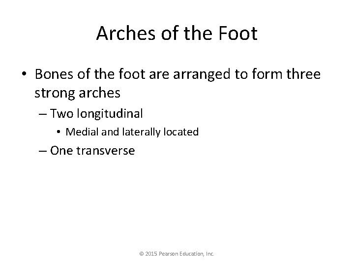 Arches of the Foot • Bones of the foot are arranged to form three