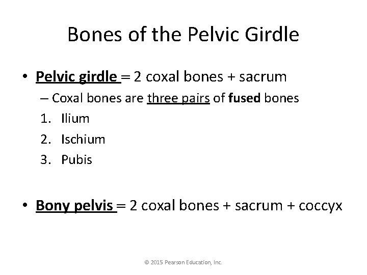 Bones of the Pelvic Girdle • Pelvic girdle 2 coxal bones + sacrum –
