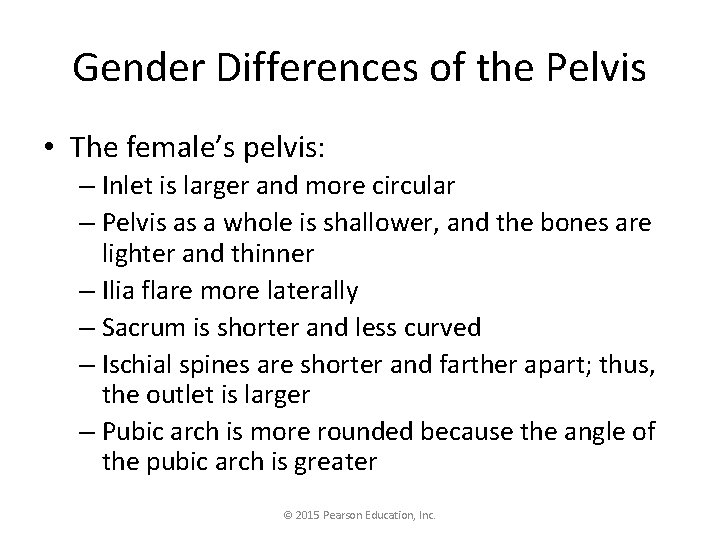 Gender Differences of the Pelvis • The female’s pelvis: – Inlet is larger and