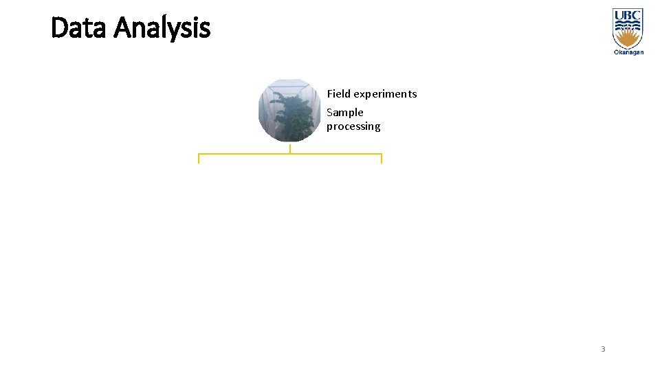 Data Analysis Non-Targeted Analysis Field experiments Sample processing a a Compound identification Quantitative analysis