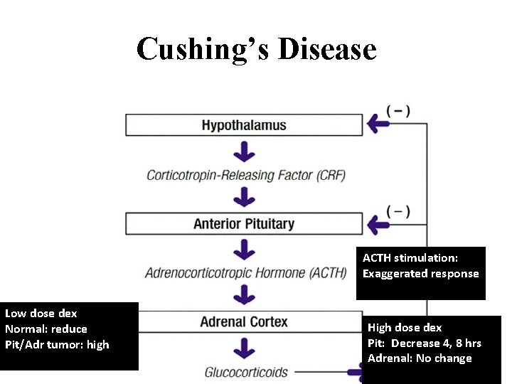 Cushing’s Disease ACTH stimulation: Exaggerated response Low dose dex Normal: reduce Pit/Adr tumor: high