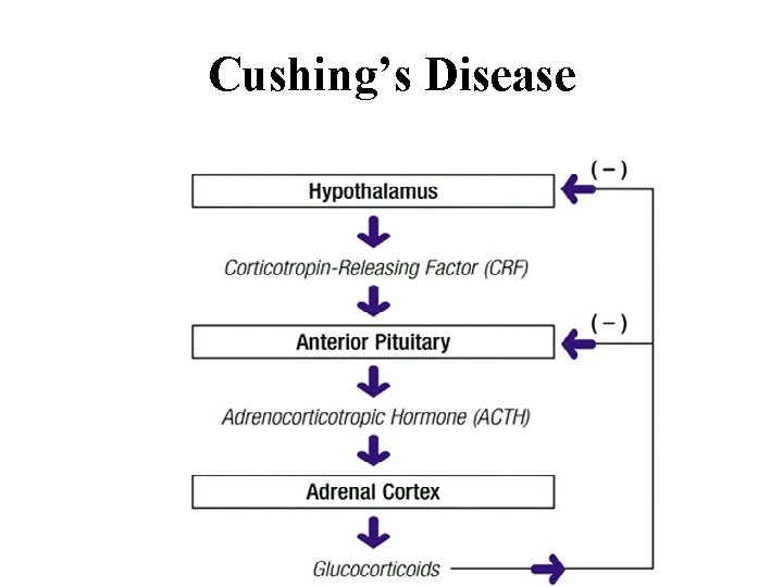 Cushing’s Disease 