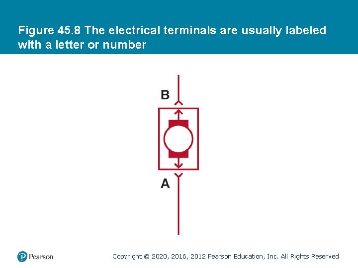 Figure 45. 8 The electrical terminals are usually labeled with a letter or number