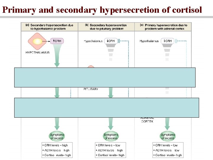 Primary and secondary hypersecretion of cortisol 