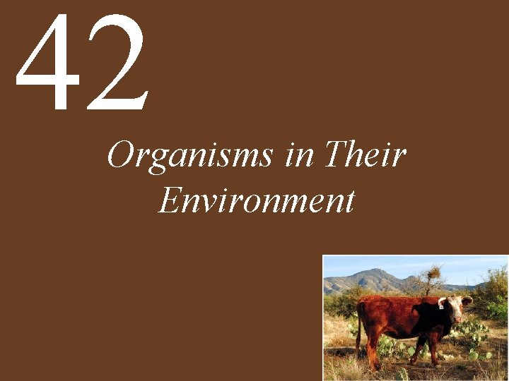 42 Organisms in Their Environment 