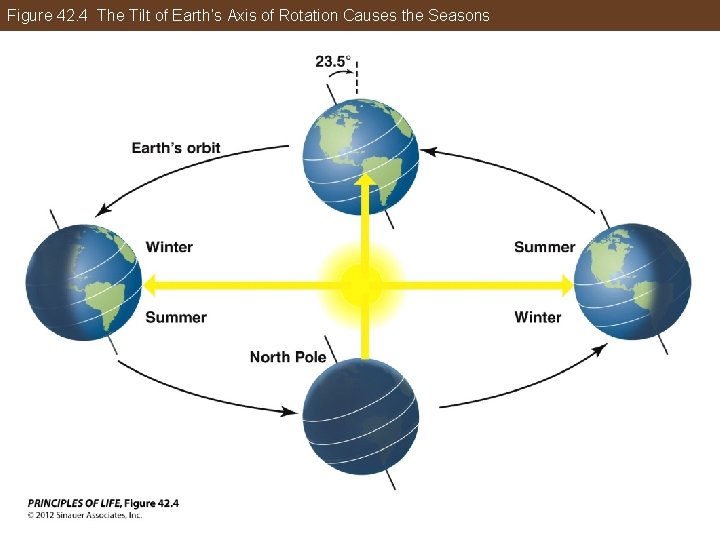 Figure 42. 4 The Tilt of Earth’s Axis of Rotation Causes the Seasons 