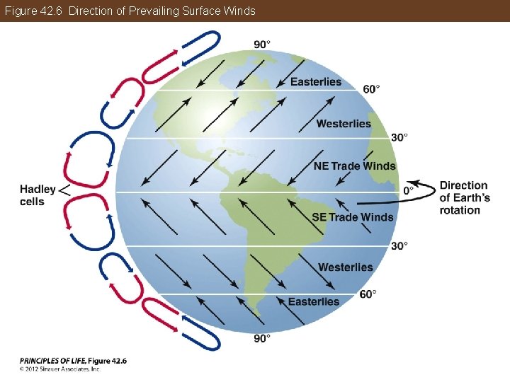 Figure 42. 6 Direction of Prevailing Surface Winds 