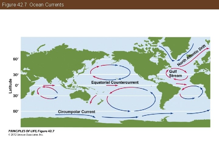 Figure 42. 7 Ocean Currents 