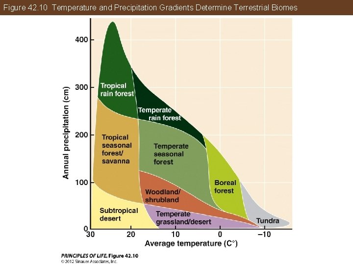 Figure 42. 10 Temperature and Precipitation Gradients Determine Terrestrial Biomes 
