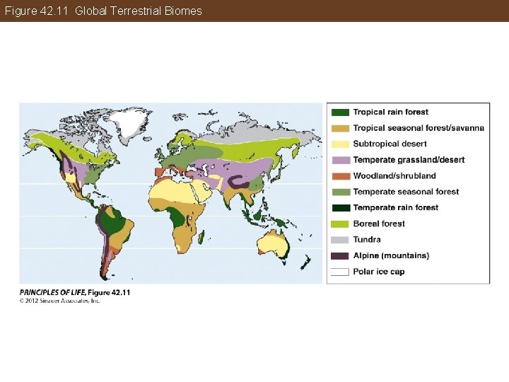 Figure 42. 11 Global Terrestrial Biomes 