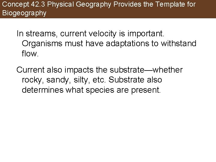 Concept 42. 3 Physical Geography Provides the Template for Biogeography In streams, current velocity