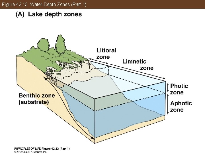 Figure 42. 13 Water-Depth Zones (Part 1) 