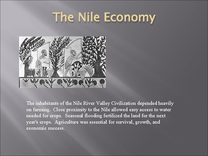 The Nile Economy The inhabitants of the Nile River Valley Civilization depended heavily on