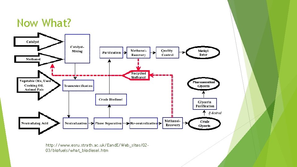 Now What? http: //www. esru. strath. ac. uk/Eand. E/Web_sites/0203/biofuels/what_biodiesel. htm Now What? http: //www. esru. strath. ac. uk/Eand. E/Web_sites/0203/biofuels/what_biodiesel. htm