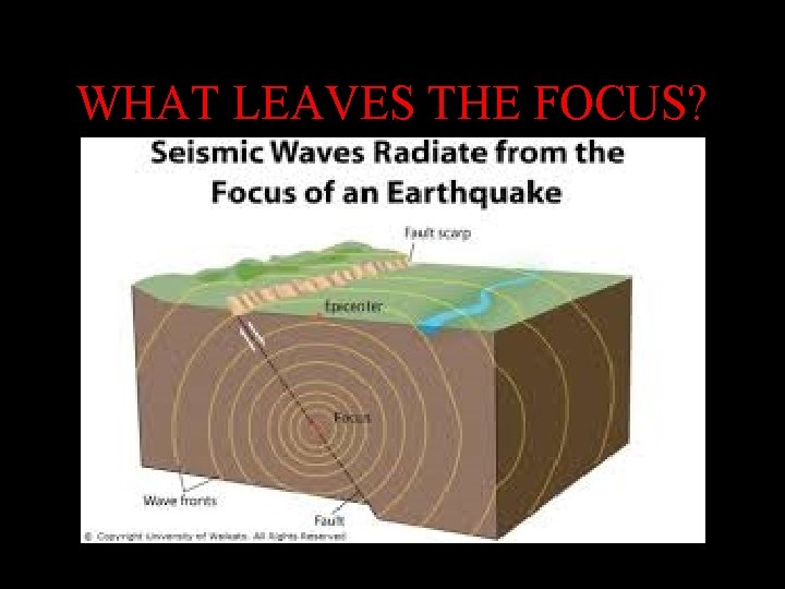 WHAT LEAVES THE FOCUS? WHAT LEAVES THE FOCUS?