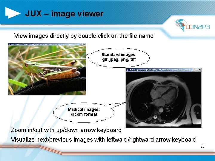 JUX – image viewer View images directly by double click on the file name