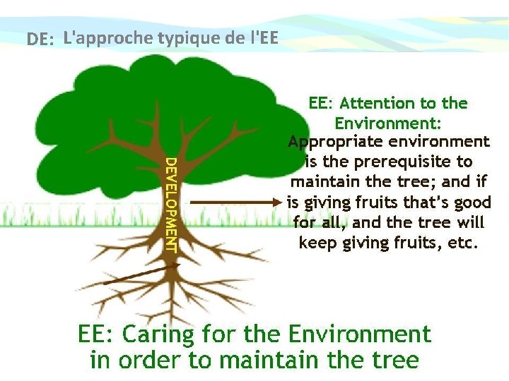 DE: L'approche typique de l'EE DEVELOPMENT Appropriate environment = the prerequisite to maintain the