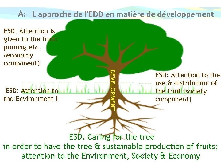 À: L'approche de l'EDD en matière de développement DEVELOPEMNT ΕSD Attention is given to