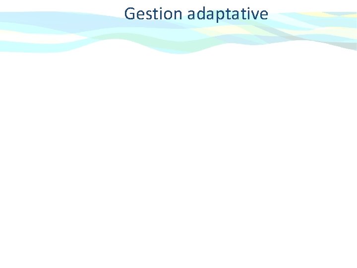 Gestion adaptative 