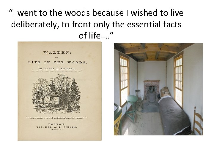 “I went to the woods because I wished to live deliberately, to front only