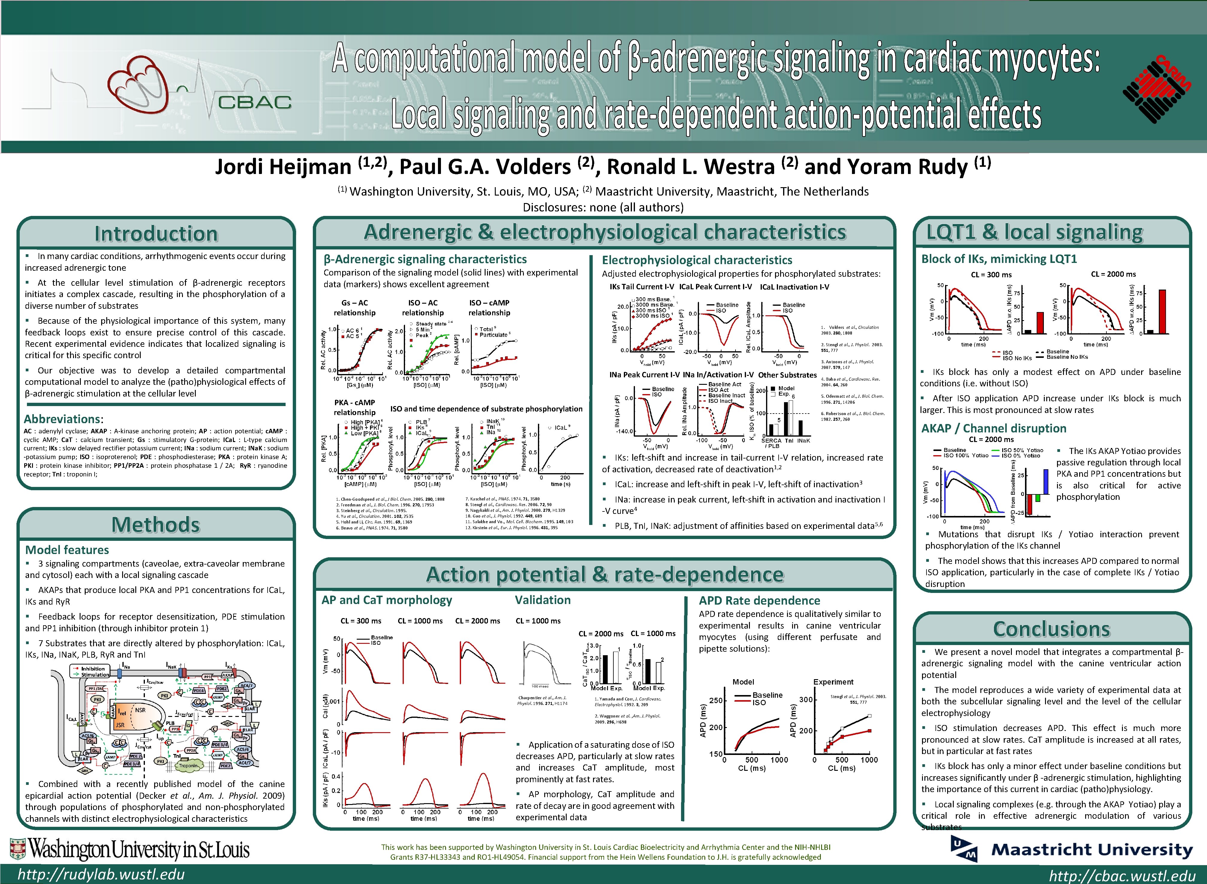 Cardiac Bioelectricity and Arrhythmia Center (CBAC) Jordi Heijman (1, 2), Paul G. A. Volders