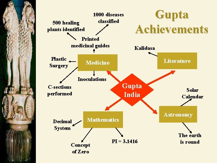 1000 diseases classified 500 healing plants identified Printed medicinal guides Plastic Surgery Gupta Achievements