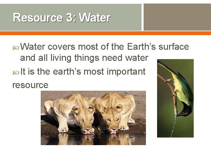 Resource 3: Water covers most of the Earth’s surface and all living things need