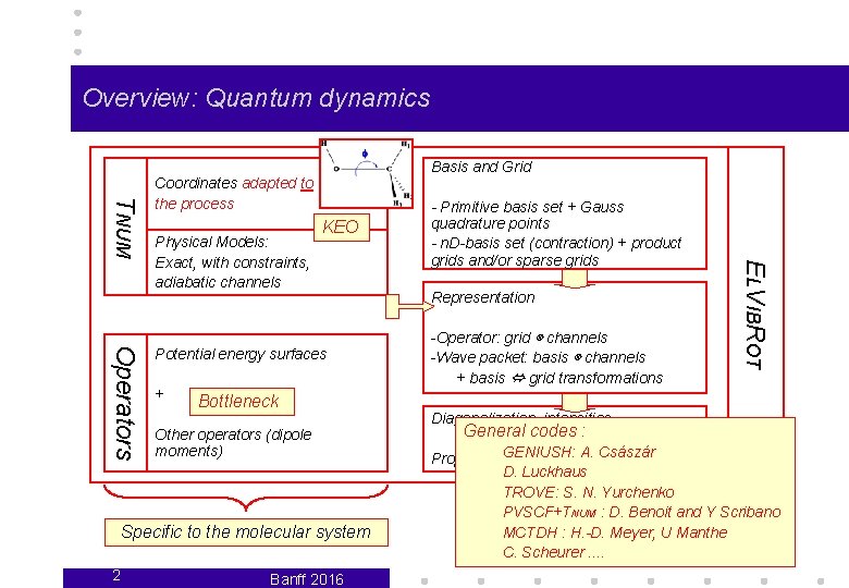 Overview: Quantum dynamics Basis and Grid TNUM Coordinates adapted to the process KEO Operators