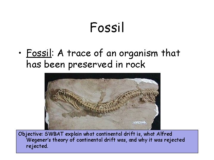 Fossil • Fossil: A trace of an organism that has been preserved in rock