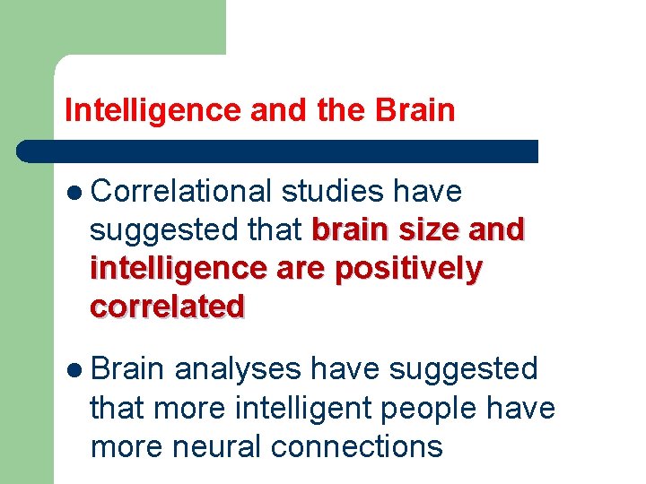 Intelligence and the Brain l Correlational studies have suggested that brain size and intelligence