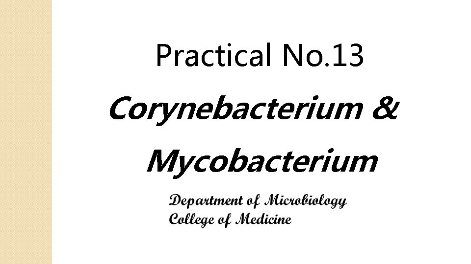 Practical No. 13 Corynebacterium & Mycobacterium 