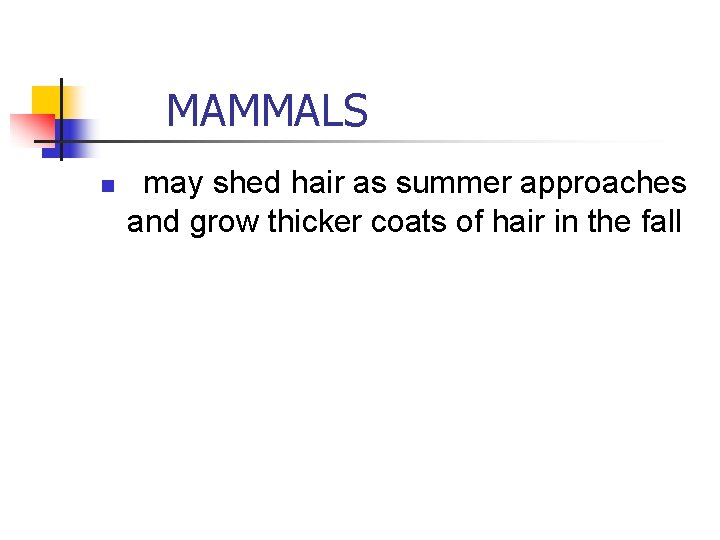 MAMMALS n may shed hair as summer approaches and grow thicker coats of MAMMALS n may shed hair as summer approaches and grow thicker coats of