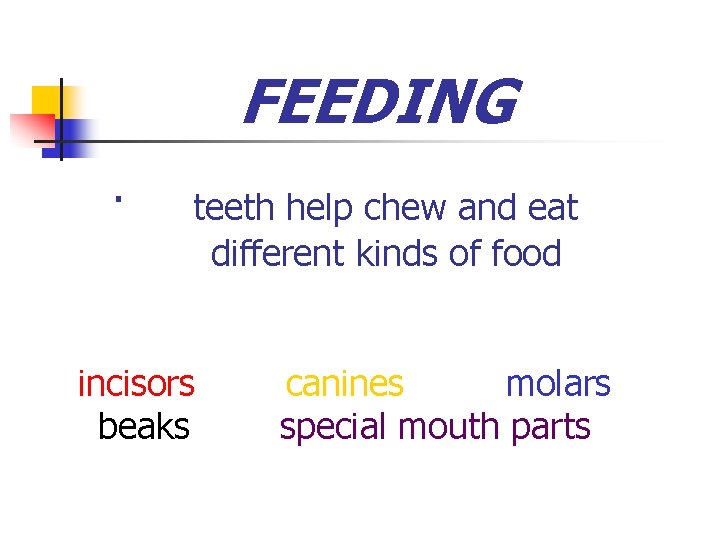 FEEDING · teeth help chew and eat different kinds of food incisors canines molars FEEDING · teeth help chew and eat different kinds of food incisors canines molars