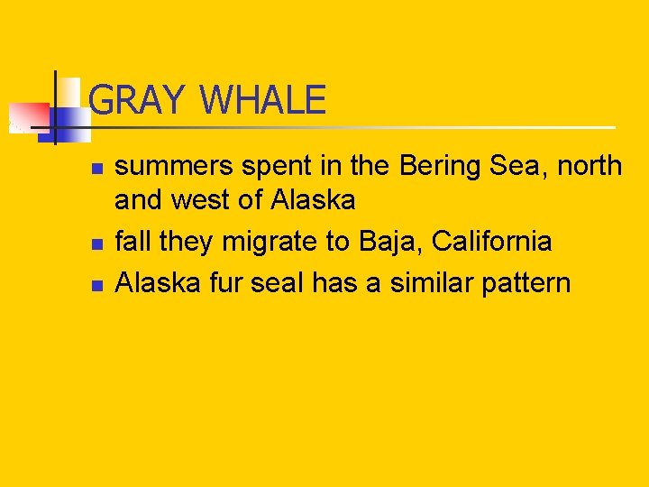 GRAY WHALE n n n summers spent in the Bering Sea, north and west GRAY WHALE n n n summers spent in the Bering Sea, north and west
