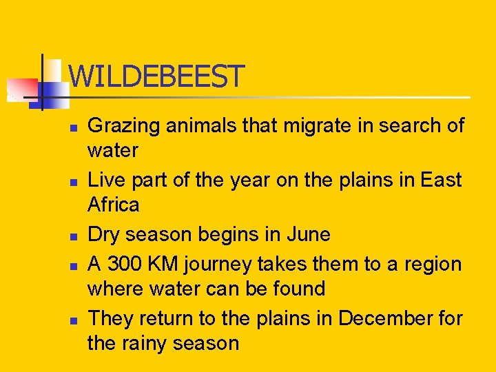 WILDEBEEST n n n Grazing animals that migrate in search of water Live part WILDEBEEST n n n Grazing animals that migrate in search of water Live part