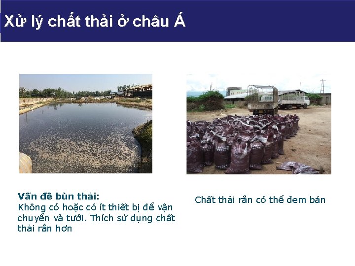 Xử lý handling chất thải ở Manure today châu Á Vấn đề bùn thải: