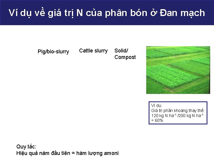Ví dụ về giá trị N của phân bón ở Đan mạch Pig/bio-slurry Cattle