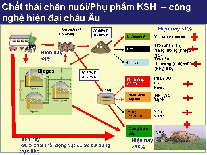 Chất thải chăn nuôi/Phụ phẩm KSH – công Gas nghệ hiện đại châu u