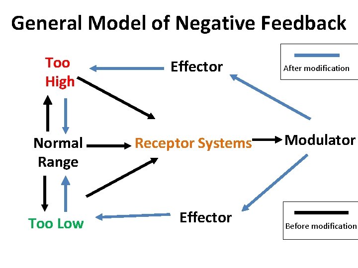 General Model of Negative Feedback Too High Effector Normal Range Receptor Systems Too Low General Model of Negative Feedback Too High Effector Normal Range Receptor Systems Too Low