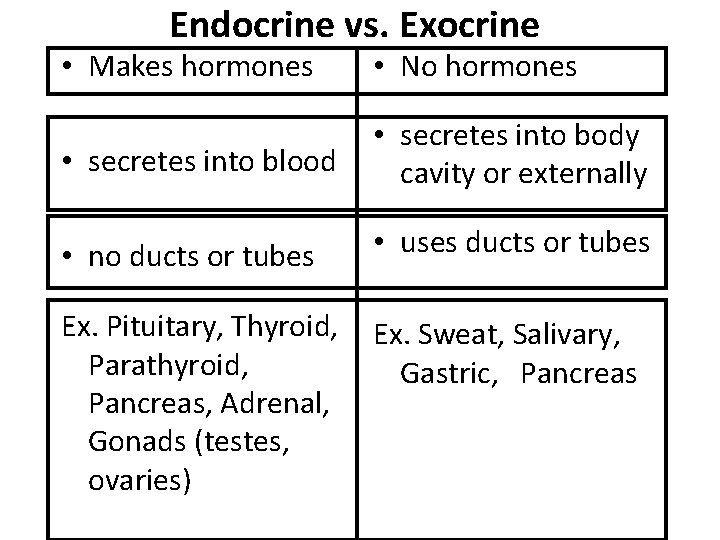 Endocrine vs. Exocrine • Makes hormones • No hormones • secretes into blood • Endocrine vs. Exocrine • Makes hormones • No hormones • secretes into blood •