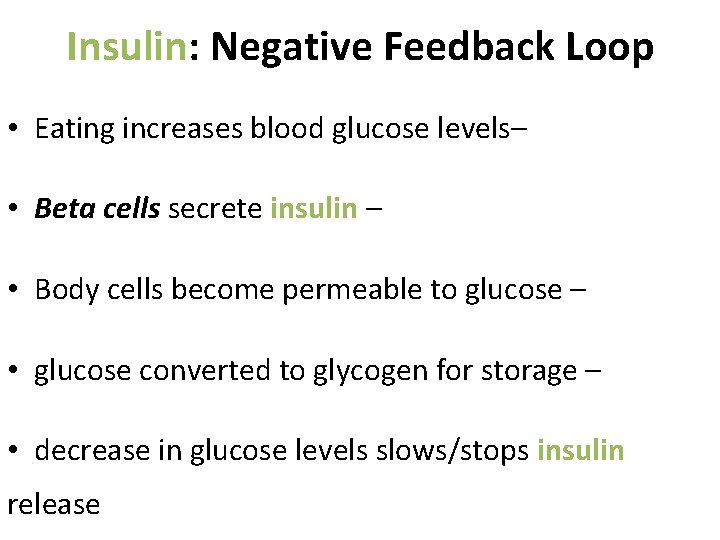 Insulin: Negative Feedback Loop • Eating increases blood glucose levels– • Beta cells secrete Insulin: Negative Feedback Loop • Eating increases blood glucose levels– • Beta cells secrete