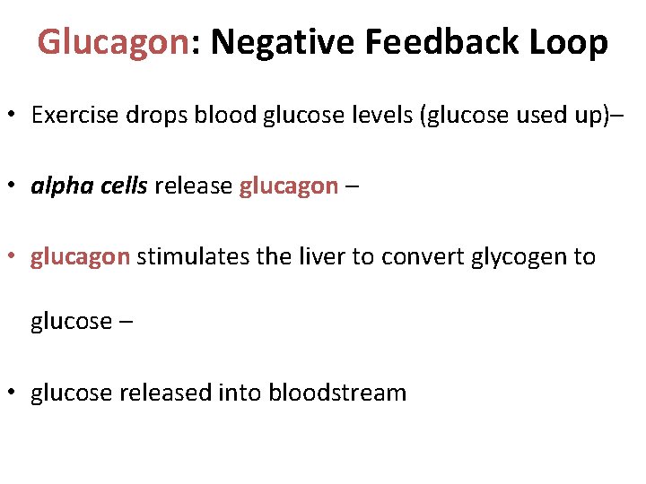 Glucagon: Negative Feedback Loop • Exercise drops blood glucose levels (glucose used up)– • Glucagon: Negative Feedback Loop • Exercise drops blood glucose levels (glucose used up)– •