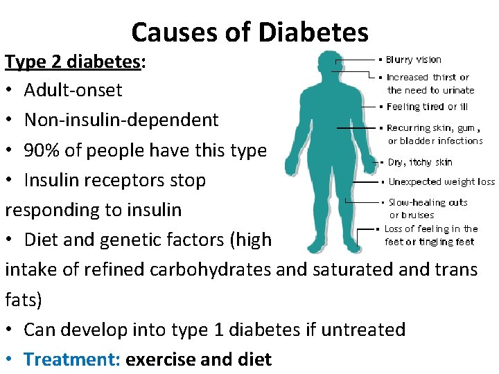 Causes of Diabetes Type 2 diabetes: • Adult-onset • Non-insulin-dependent • 90% of people Causes of Diabetes Type 2 diabetes: • Adult-onset • Non-insulin-dependent • 90% of people